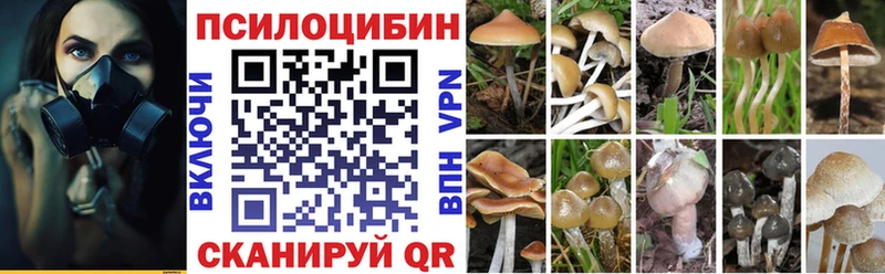 Купить где  Лабытнанги  Псилоцибиновые грибы прущие грибы 
